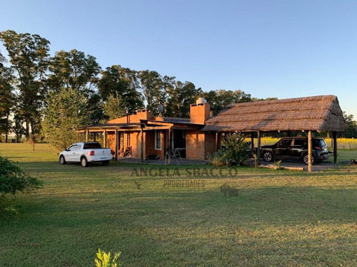 Imagen 3 de 30 de Campo En San Andres De Giles