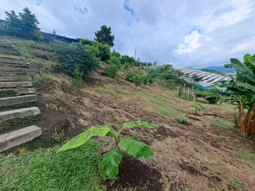 Finca En Venta
