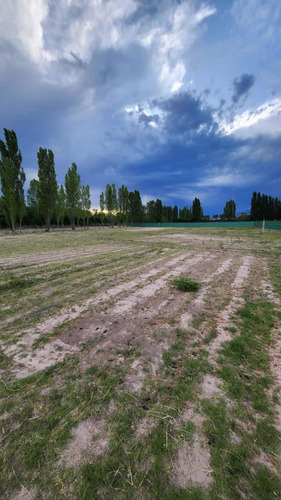 Imagen 5 de 9 de Lotes Ubicados En Maipu Lulunta , Mendoza.