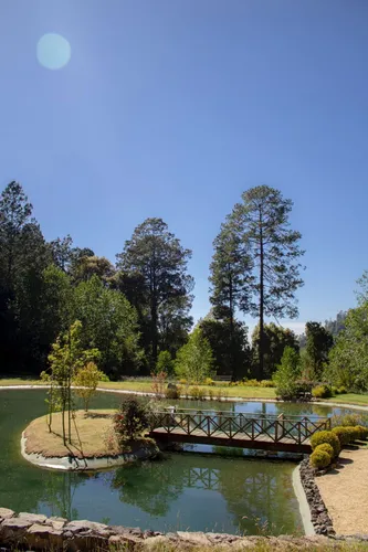 Exclusivas Cabañas En Reserva Saucos - $6,500,000