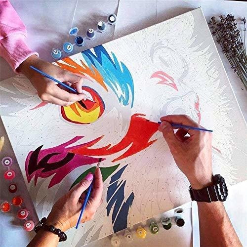 Paint By Numbers For Adults Beginner Painting Kits