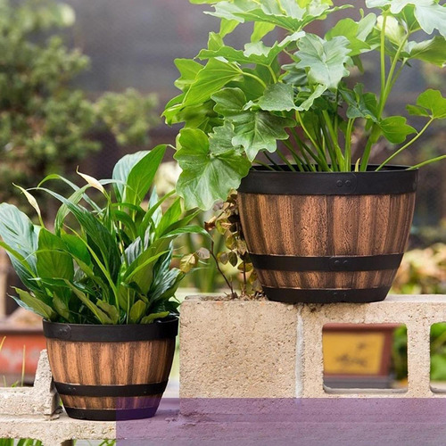 Planta De Macetas De Barril De Macetas Regalos Con 45l