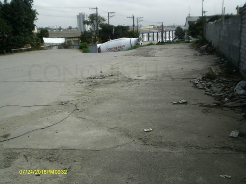 Imagem 5 de 6 de Terreno - Planalto - Ref: 1819 - L-4001