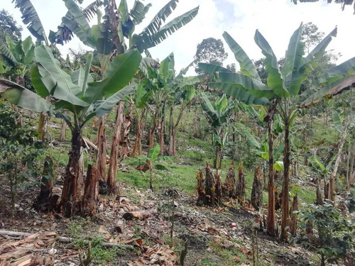 Imagen 8 de 30 de Vendo Finca En Avenida Condina Precio De Oportunidad