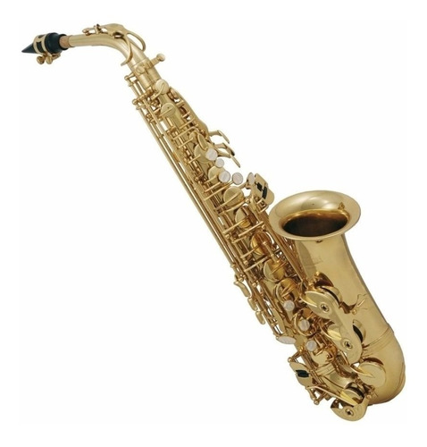 Benson Ft6403l Saxo Alto Cuerpo Dorado Llaves Doradas