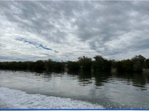 Sinaloa Isla De Tachichitle Terreno Venta Angostura
