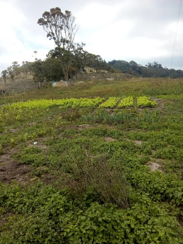 Imagen 2 de 20 de Finca En Casa Via El Padre De 45 Hectáreas
