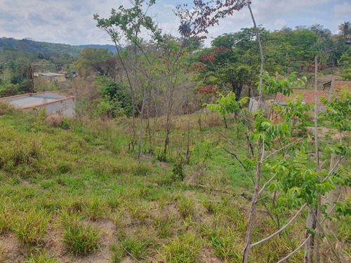 Vendo Lote De 360m2 Barato