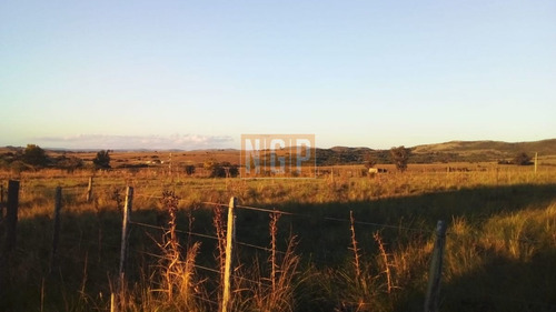 Imagen 3 de 15 de Muy Lindo Campo , Con Cercanía A La Ciudad , Hermosa Vista , Y Fácil Acceso