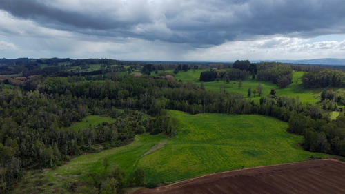 Campo En La Unión Cercano Al Lago Ranco 27,4 Hectáreas