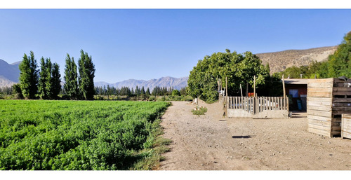 En Venta Terreno Agrícola De 4,5 Hectáreas, En Catemu.