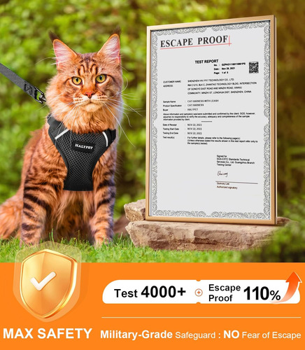 Juego Arnés Y Correa Ajustable Para Gato Transpirable