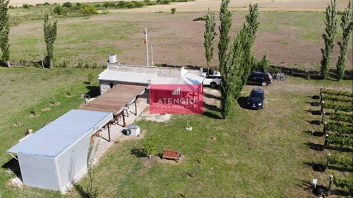 Imagen 19 de 30 de Viñedo Boutique, Totalmente Productivo, Con Casa Y Cava