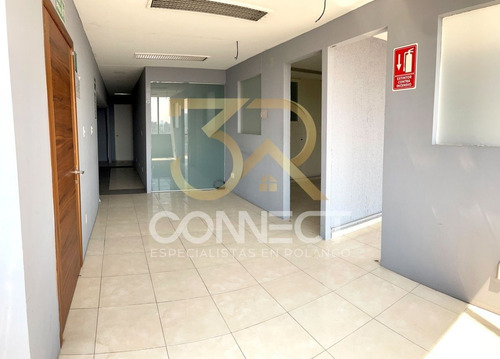 Oficina En Renta En Anzures 7c/2b/1e - Excelente Ubicación - 160 M2