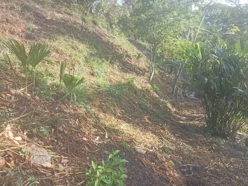 Lote Villeta
