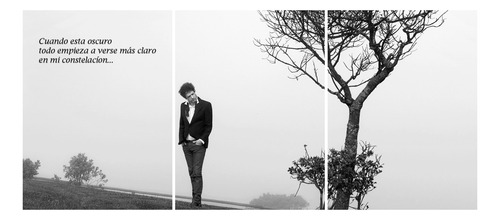 Cuadros Tripticos Modernos Gustavo Cerati Frase (90x40 Cm) 1
