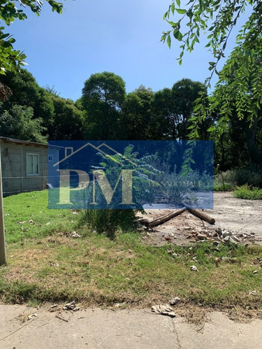 Terreno En Venta En Velloso
