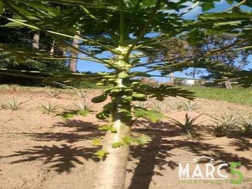 Imagem 9 de 18 de Chacara - Pouso Alegre - 788