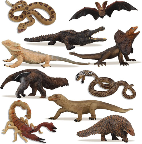 Toymany - Juego De 10 Figuritas De Reptiles Tropicales