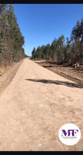 Se Venden Parcelas De 5000 Mts2 A 20 Min De Chillan