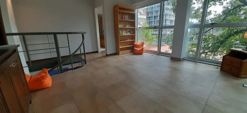 Imagen 8 de 20 de Duplex En Olivos - Todo Luz
