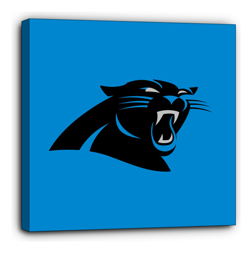 Cuadro Canvas Nfl Carolina Panthers 40x40cm