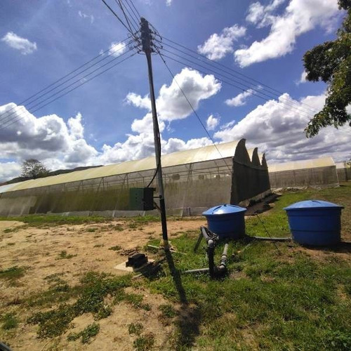 Imagen 15 de 15 de Belklia/ofrece Finca 242h.a ,pista Aterrizaje Carabobo (yol)