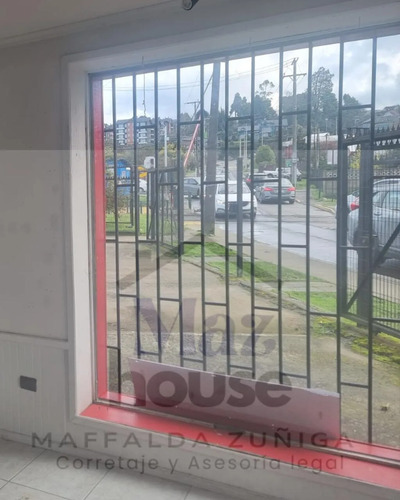 Arriendo Local Comercial Cercano A Colegios Salida Sur
