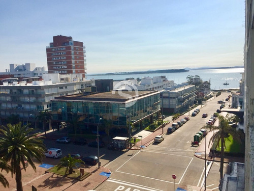 Apartamento En Venta - Ref: 3904
