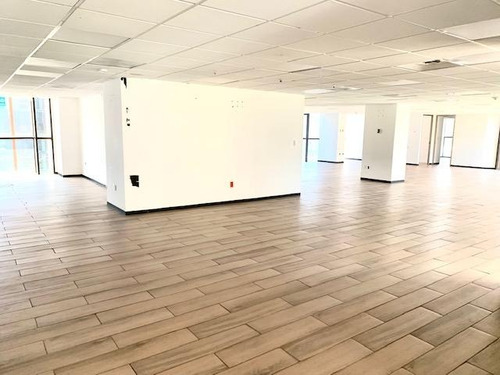 Polanco, Rento 3,800m2 Completamente Acondicionados, Privados, Salas De Juntas, Amplias Áreas Abiertas De Trabajo, 42 Estacionamientos. Excelente Ubicación