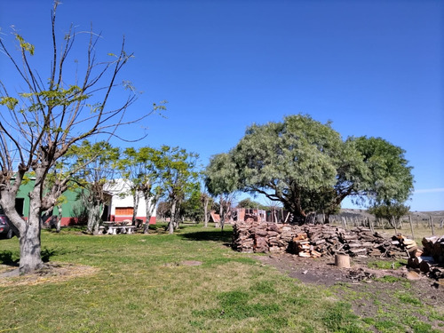 Campo De 397 Has - Maldonado, Aiguá