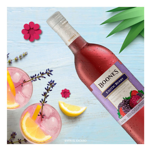 Pack De 12 Licor Boones Exotic Berry 750 Ml