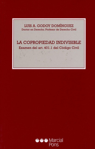La Copropiedad Indivisible, De Godoy Domínguez, Luis A.. Editorial Marcial Pons, Tapa Blanda, Edición 1 En Español, 2002