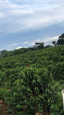 Sítio À Venda, 242000 M² Por R$ 1.750.000,00 - Zona Rural - Aguaí/sp - Si0057