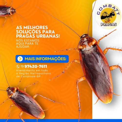 Dedetização E Controle De Pragas Urbanas Combatt Pragas!
