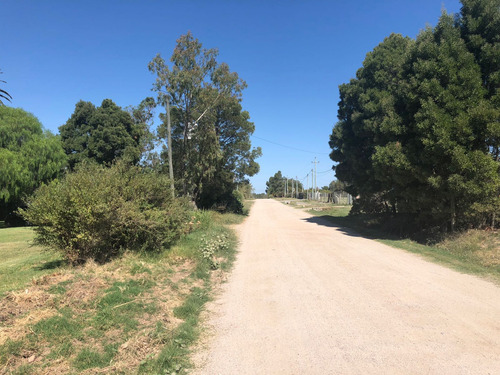 Lote En Venta En Real De San Carlos (ref: Iea-949)