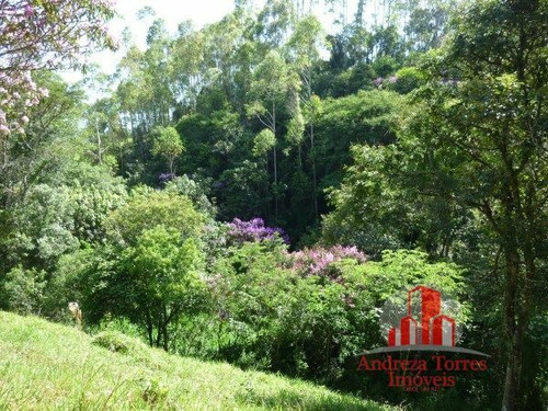Imagem 17 de 30 de Sítio Sítio À Venda Em Taubaté/sp - 1386