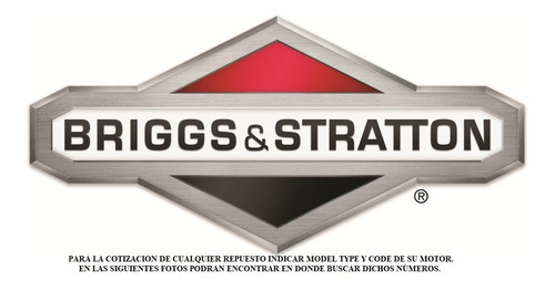 Repuestos Briggs & Stratton