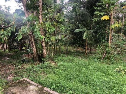 Chácara No Litoral Sul, Com 3 Quartos Em Itanhaém/sp 5416-pc