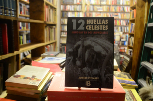 12 Huellas Celestes. Uruguay En Mundiales. Alfredo Etchandy