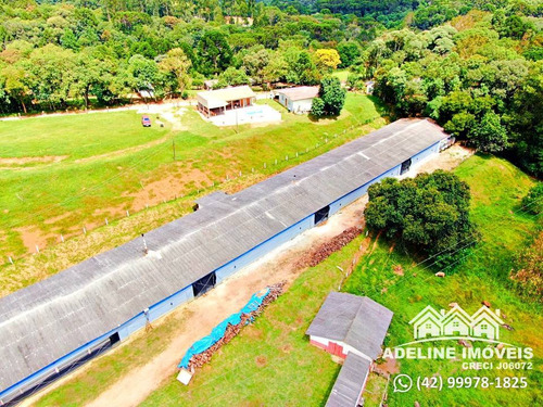 Imagem 3 de 8 de Chácara Catanduva, Carambeí
