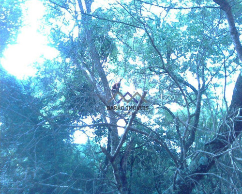 Imagem 25 de 30 de Chácara De 4.628 M² Em Pilar Do Sul/oportunidade - Ch0094