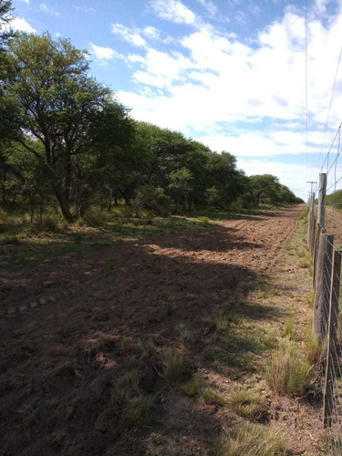 Imagen 2 de 14 de Vendo 660has Ganaderas,inst.coto.p Habilitar. La Pampa