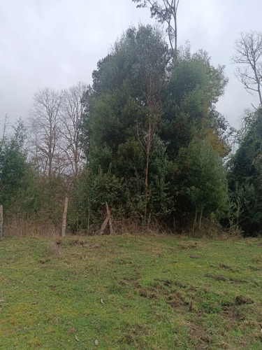 Terreno Indígena De 3.5 Há Con Estero, Décima Región