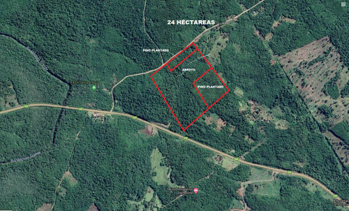 Imagen 2 de 5 de Campo En Venta -24 Ha- Col. Mártires -misiones
