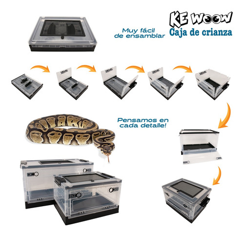 Caja Abatible De Cría Para Arácnidos Y Reptiles. Kewoow