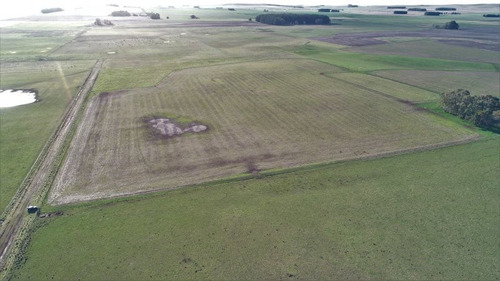 Imagen 10 de 28 de Campo 39 Has. Agrícolas Con Mejoras - Zona Dos Naciones
