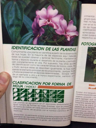 Imagen 5 de 9 de El Manto De La Tierra: Flora De Los Andes Car