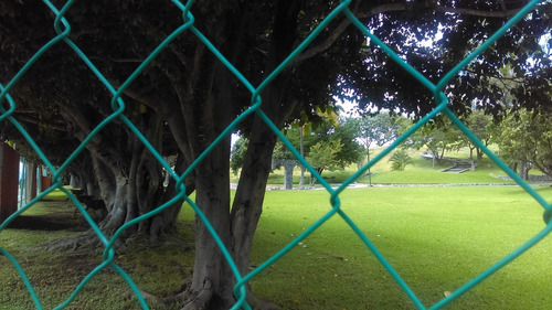 Imagen 11 de 14 de Terreno Campestre