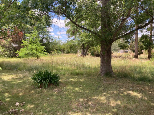 Casa De Campo En Alquiler